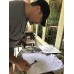 Batik T-Shirt Painting